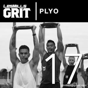 GRIT PLYO 17