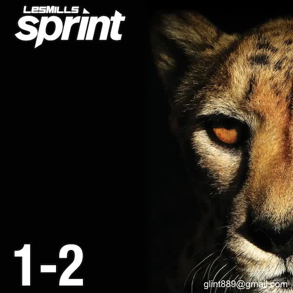 SPRINT 01