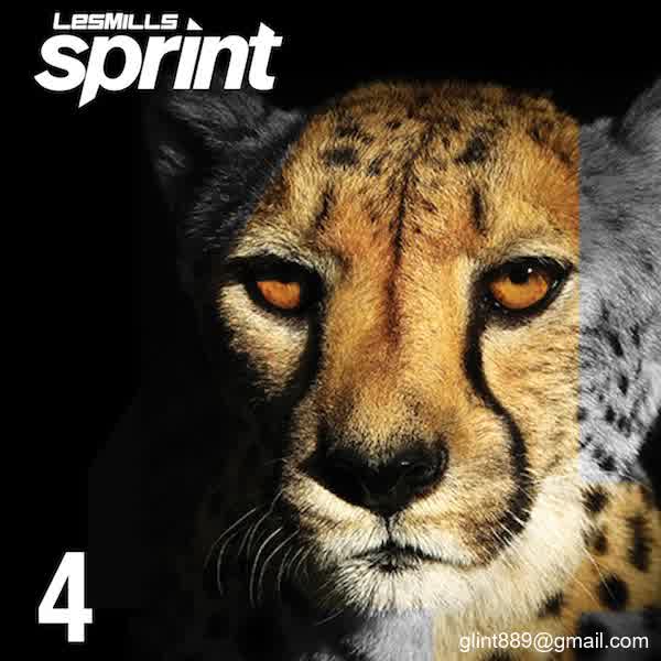 SPRINT 04