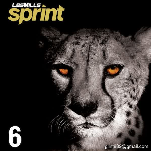 SPRINT 06