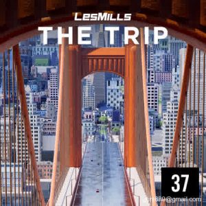 THE TRIP 37