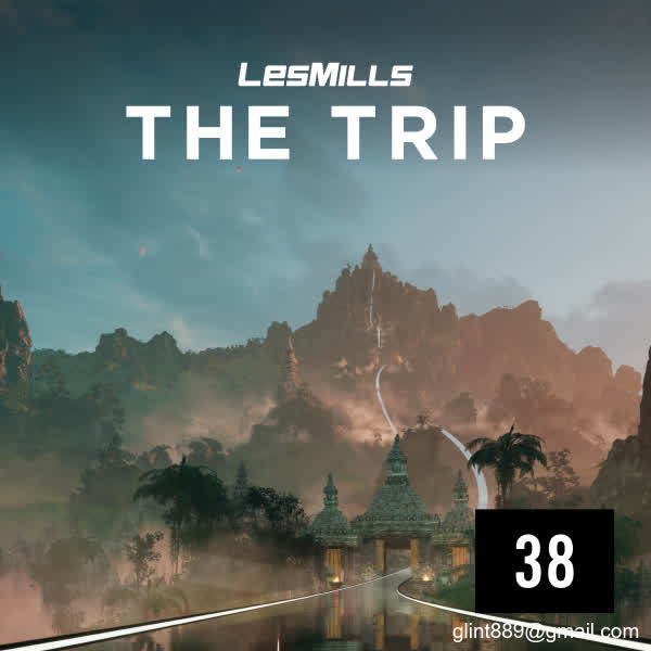 THE TRIP 38