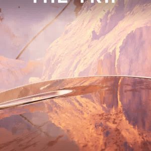 THE TRIP 39