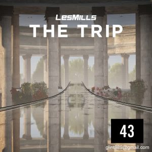 THE TRIP 43