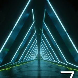 THE TRIP 7
